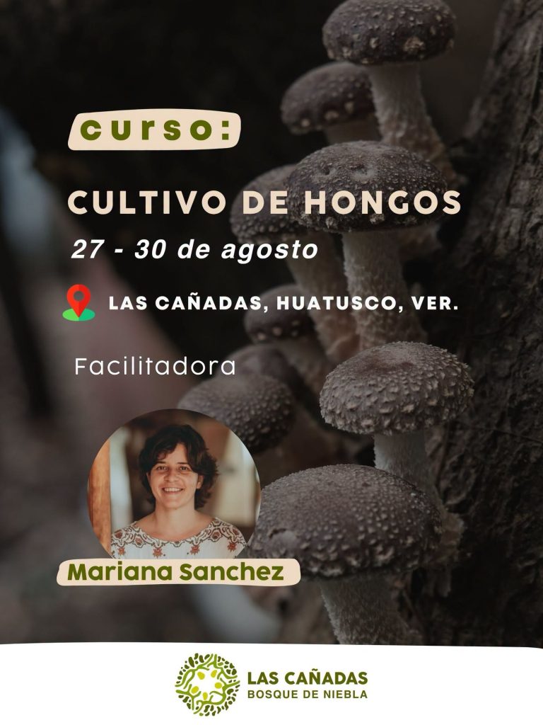 Cultivo de Hongos
