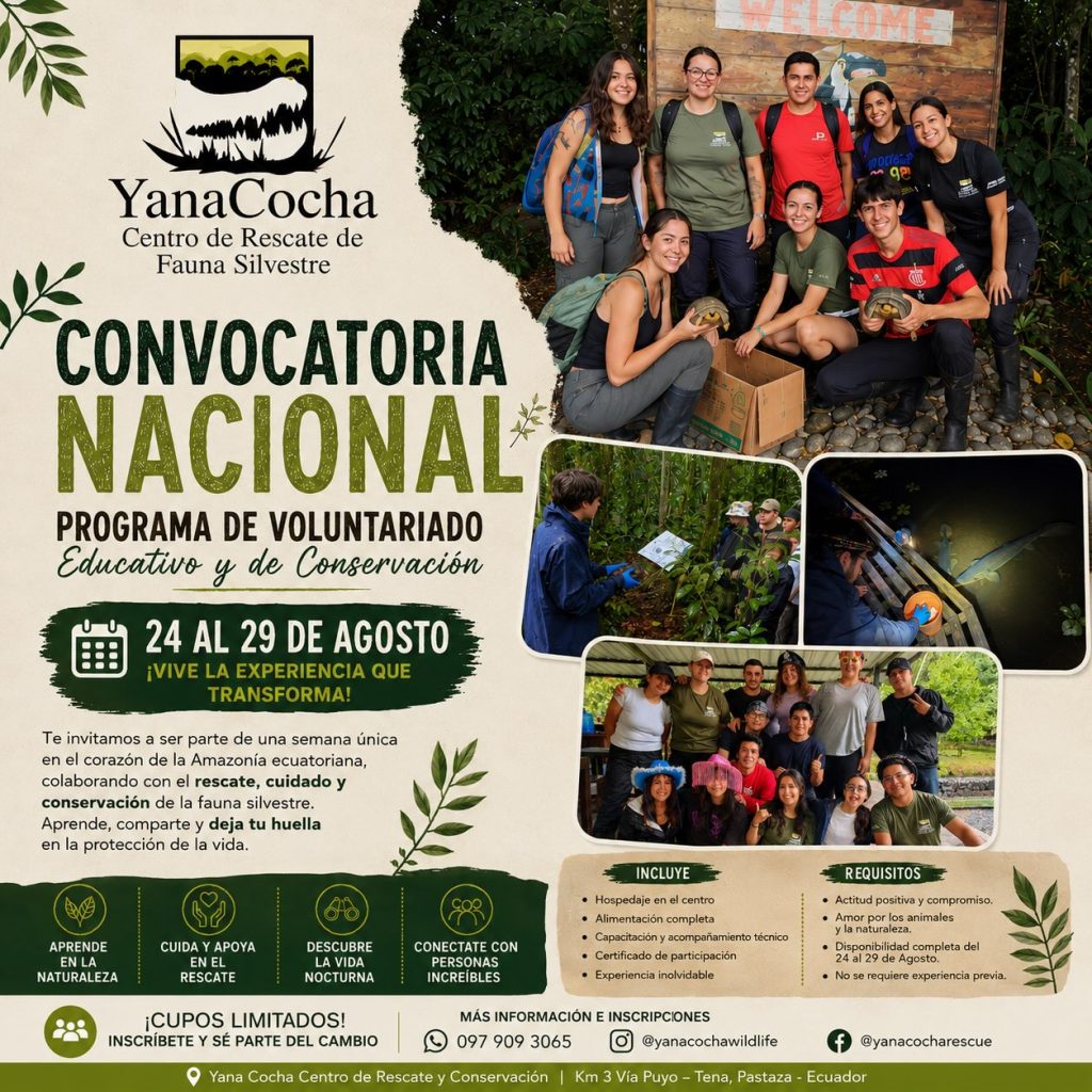 Voluntariado YanaCocha