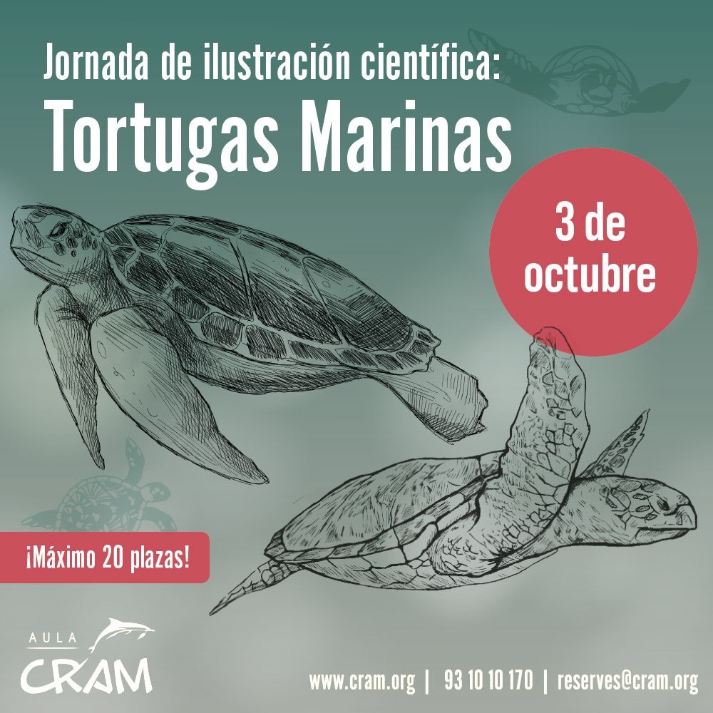 Jornada de Ilustración Científica sobre Tortugas Marinas – CRAM