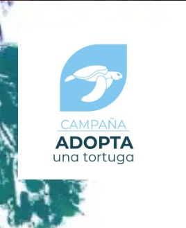 Adopta una Tortuga